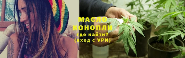 винт Лагань