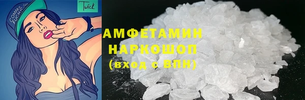 винт Лагань