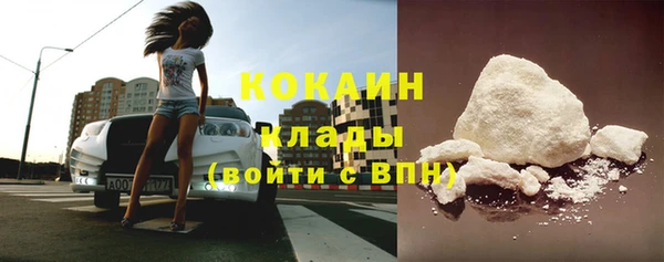 винт Лагань