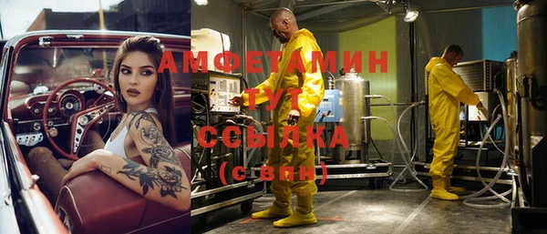 винт Лагань