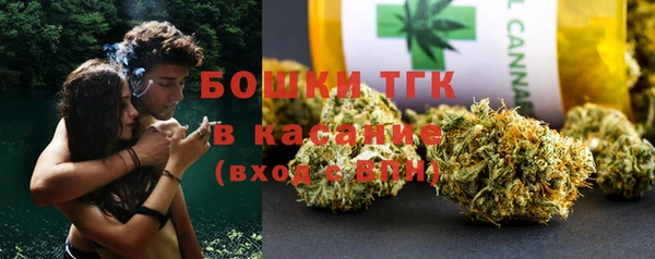 PSILOCYBIN Лабытнанги