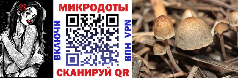 кракен как войти  Йошкар-Ола  Галлюциногенные грибы Magic Shrooms 