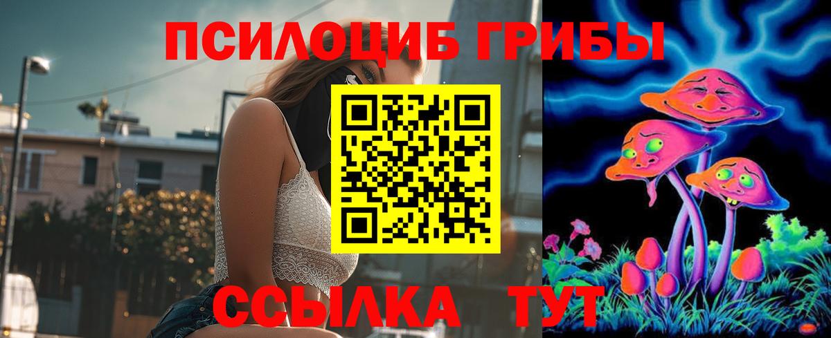 Псилоцибиновые грибы MAGIC MUSHROOMS  Вход с VPN  Йошкар-Ола 