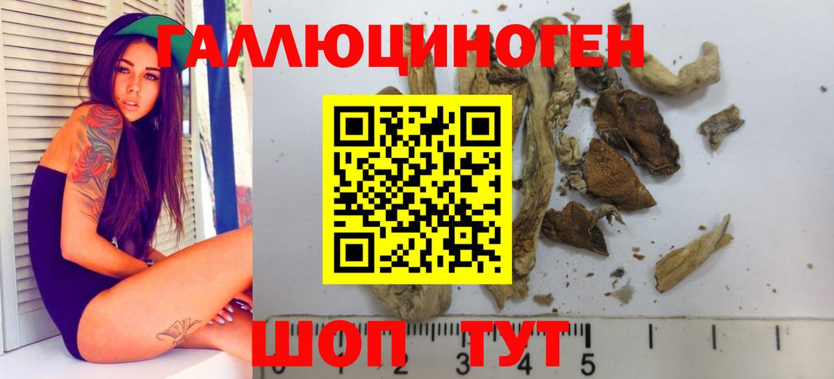 Галлюциногенные грибы мухоморы Йошкар-Ола